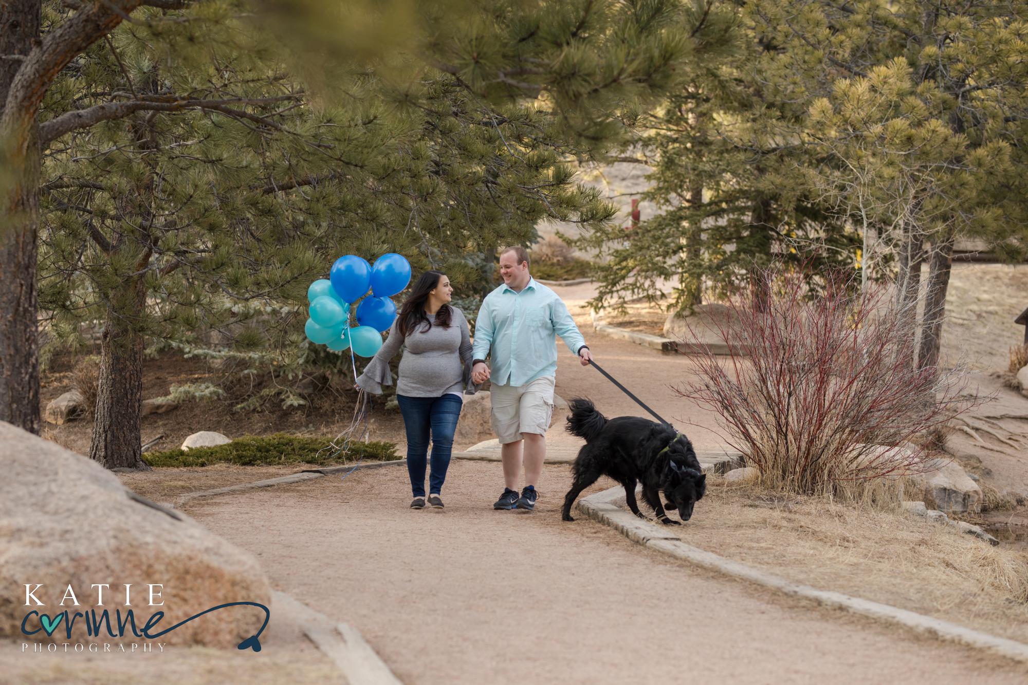Colorado maternity couple walks dog in park