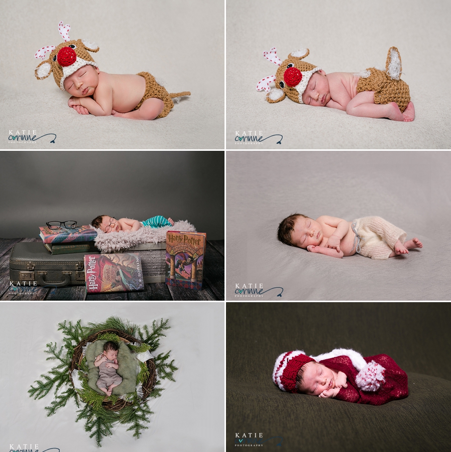 newborn portraits