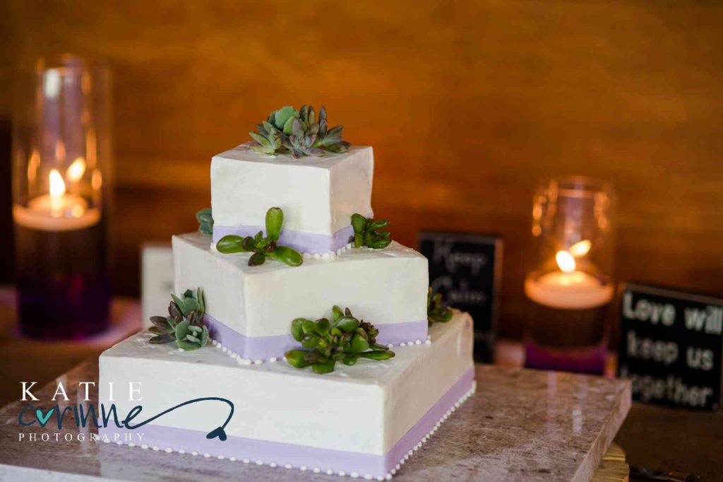 Colorado Wedding Cake with Succulents