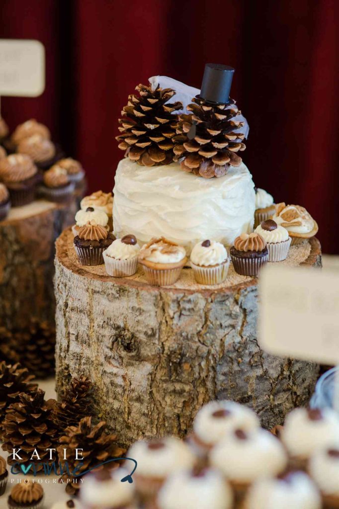 Beautiful wedding cake with pine cones