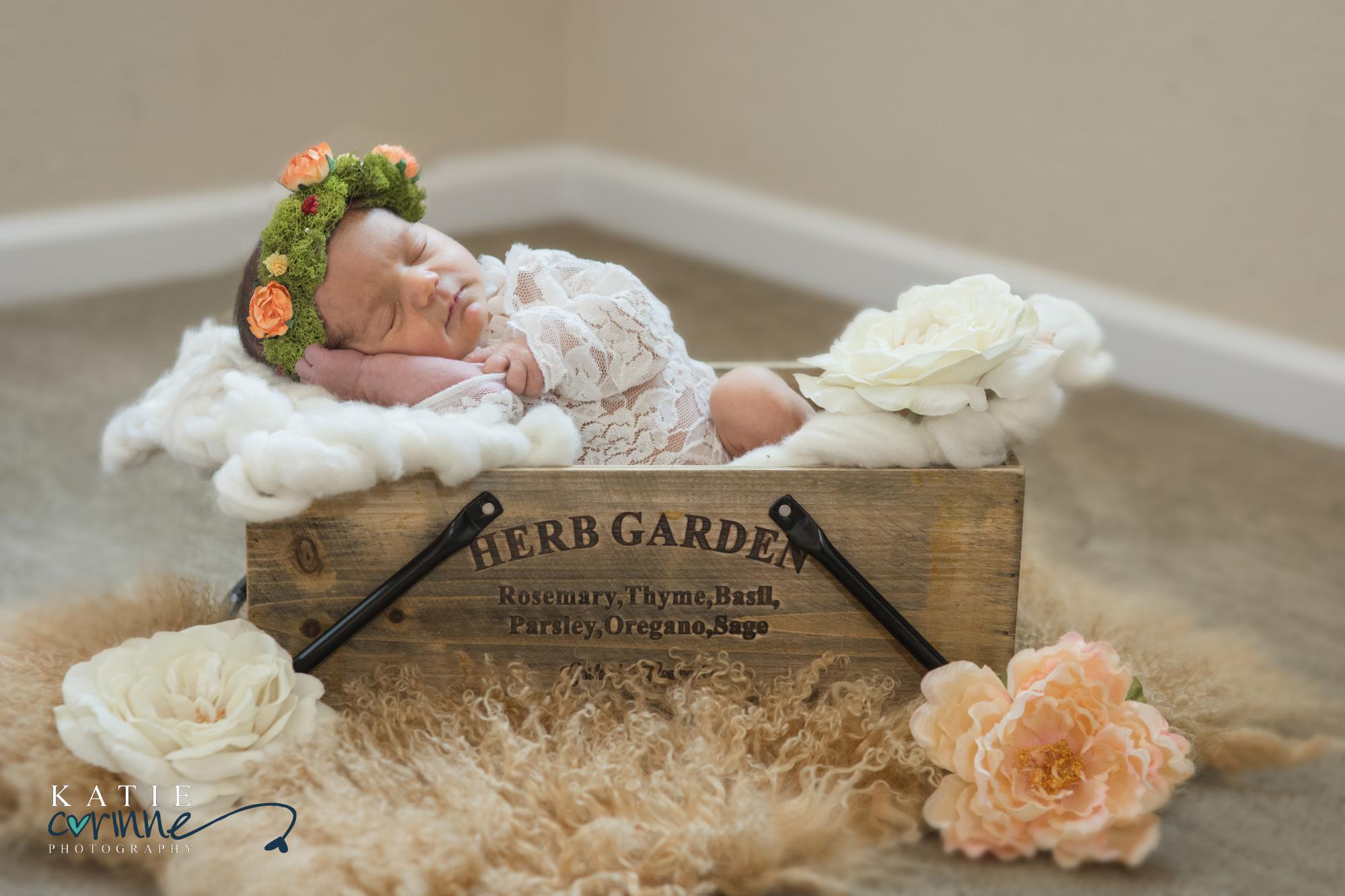 Baby in cute garden box