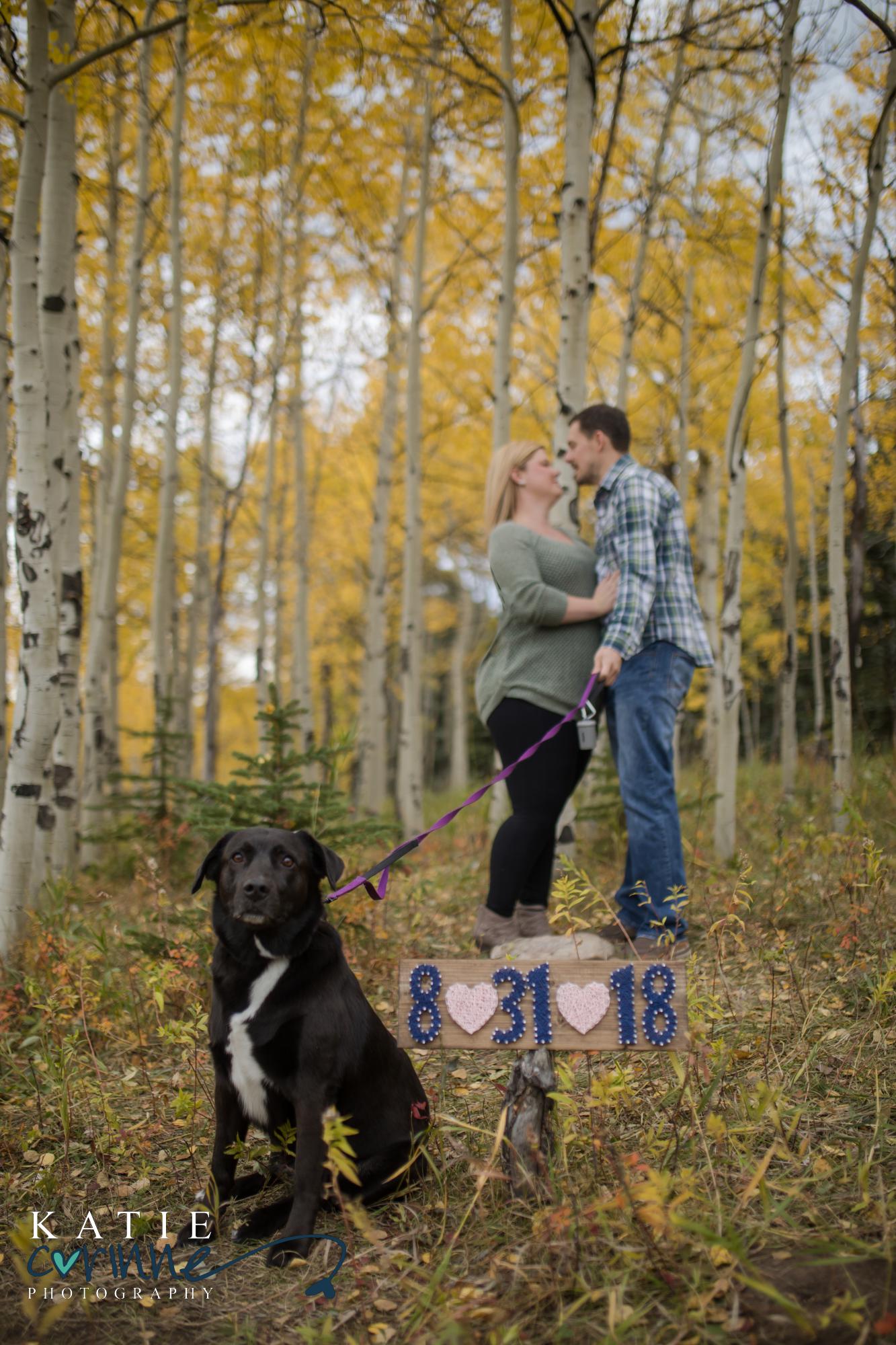 Engagement photos Denver