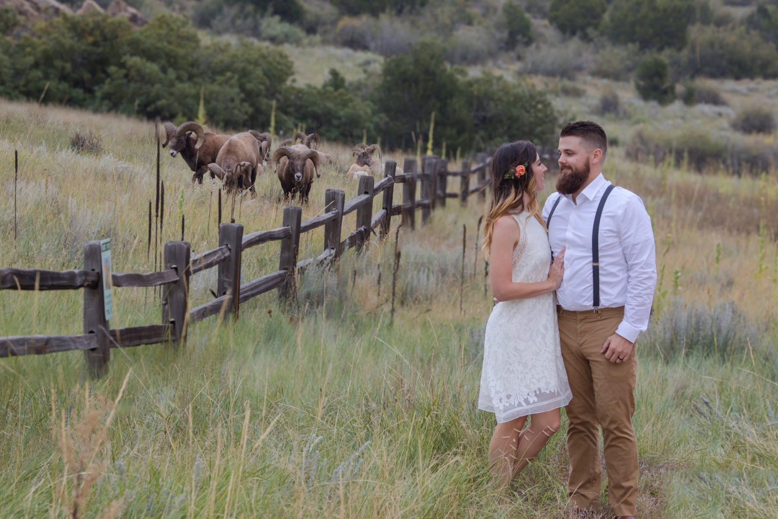 Wedding Photographers Colorado Springs