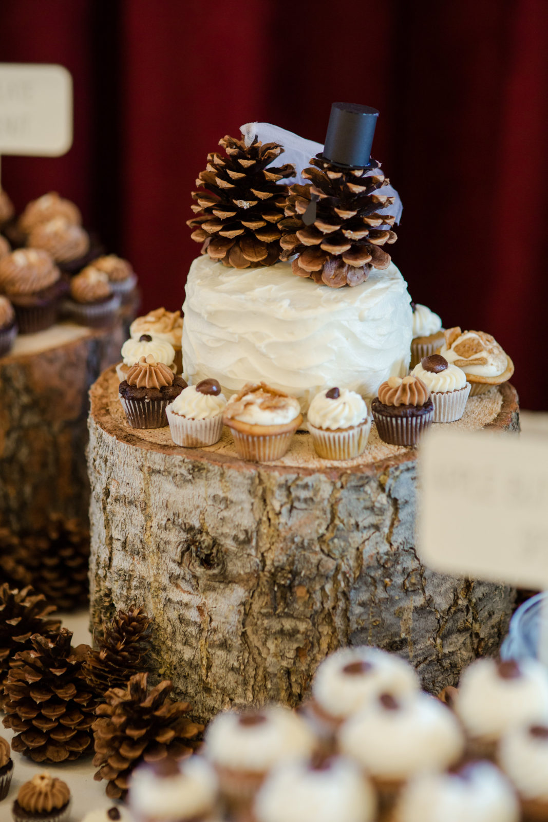 pinecone cupcakes and wedding cake