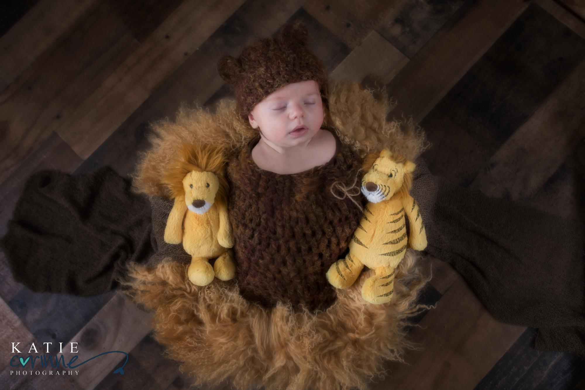 Lions, Tigers, and Bears Baby Boy Ideas