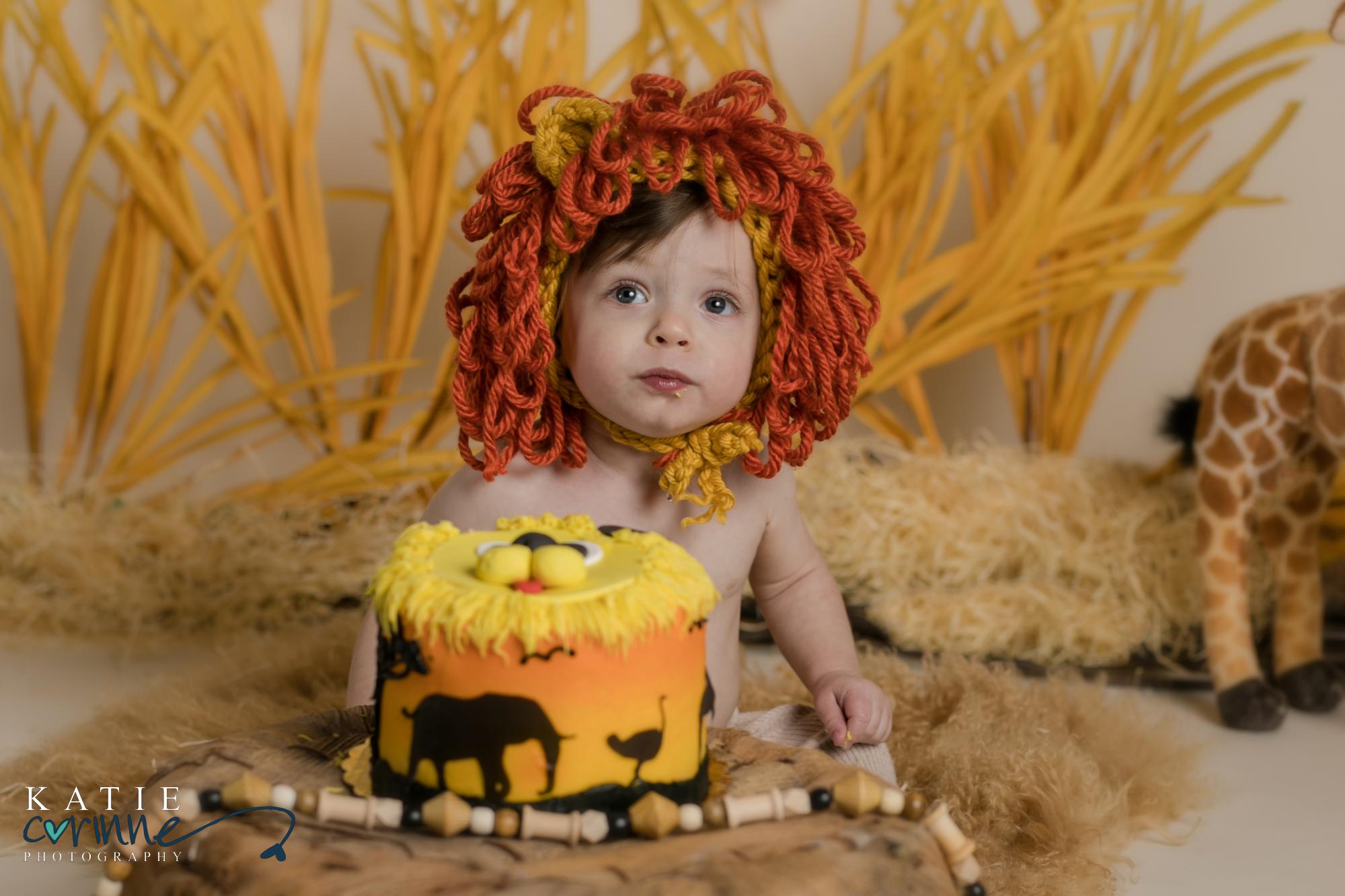 Colorado child sits in front of his safari themed cake smash cake