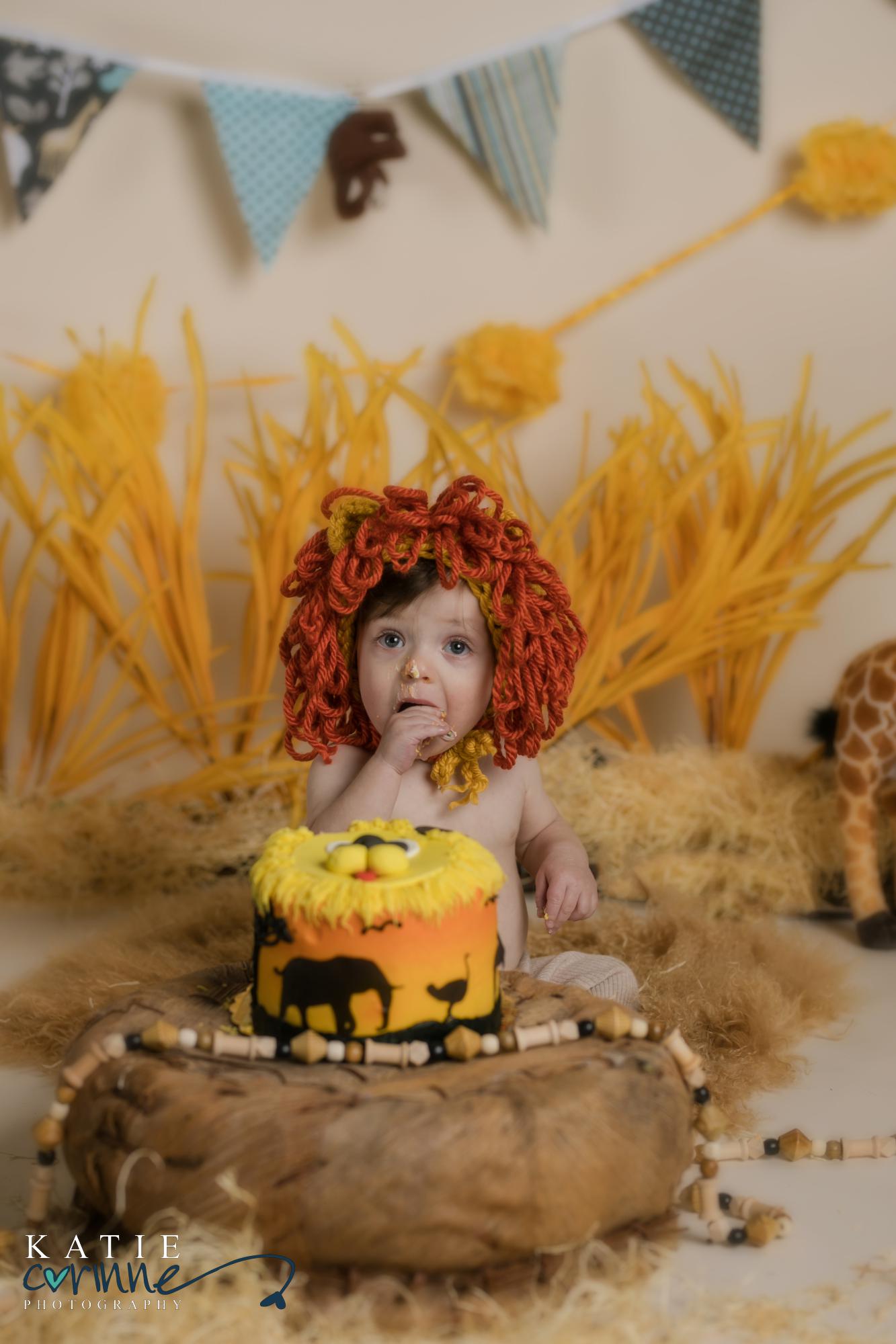 one year old eats safari cake in colorado portraits studio