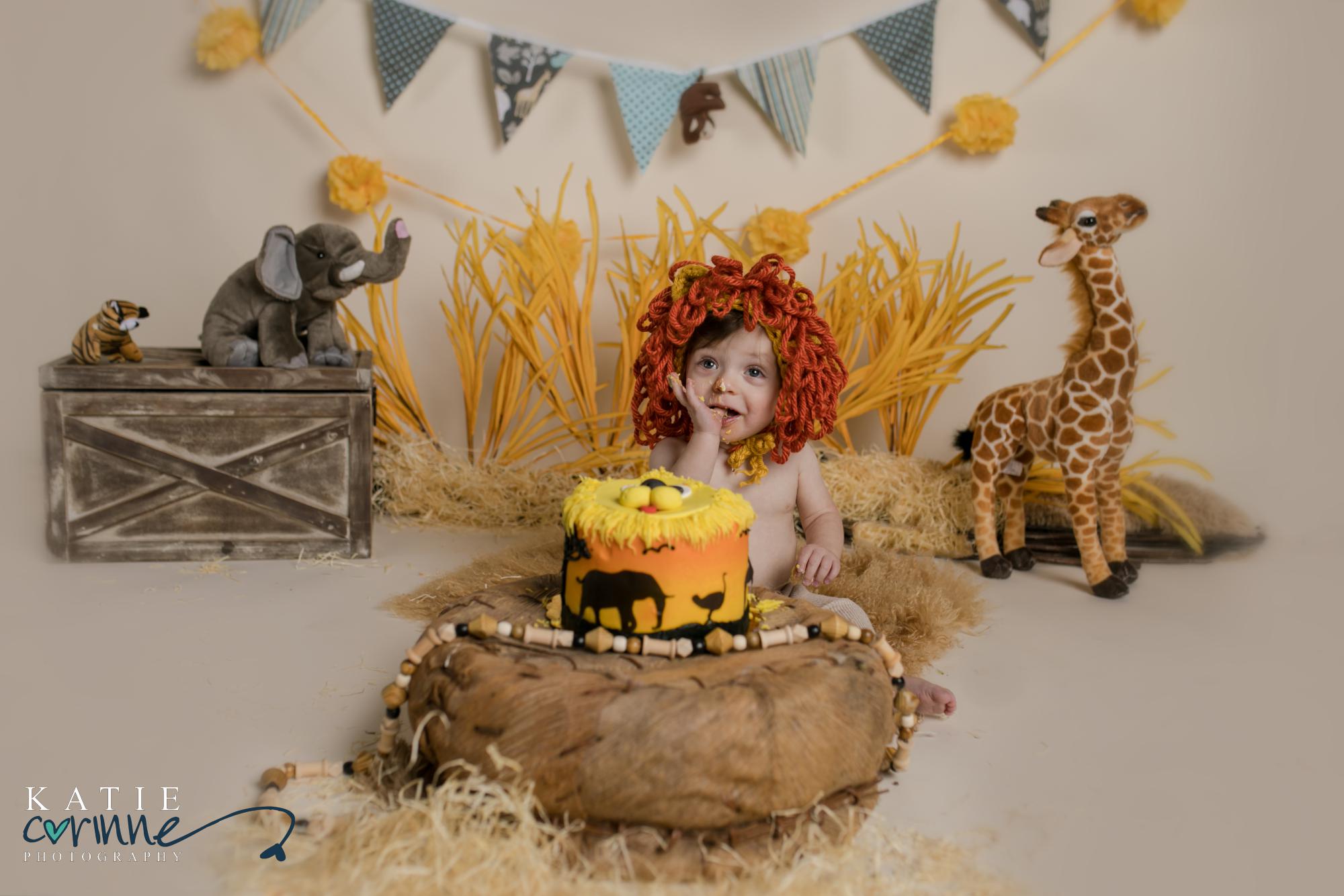 one year old boy at safari cake smash for photography session
