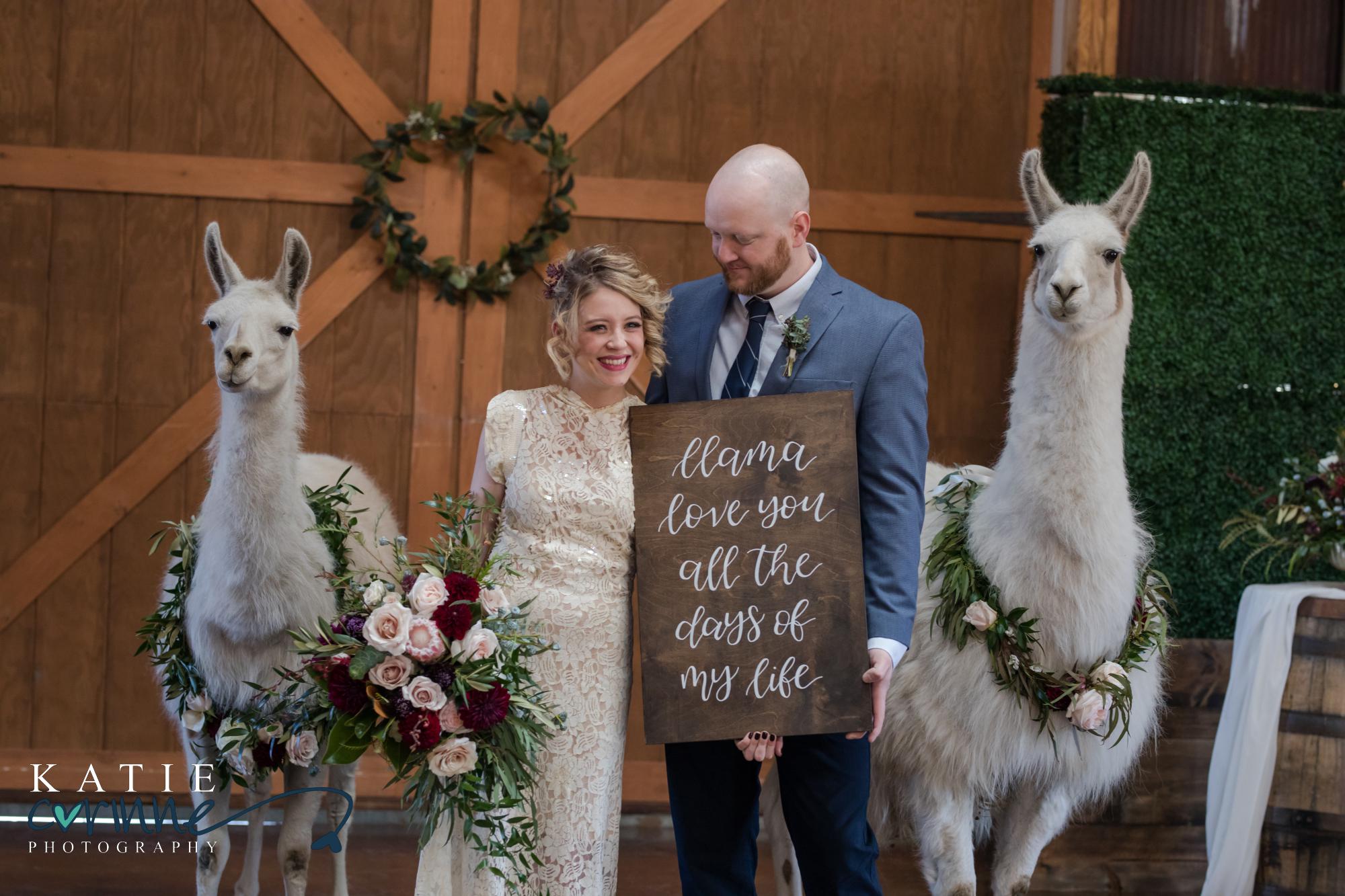 Newlywed couple pose with llamas and calligraphy sign