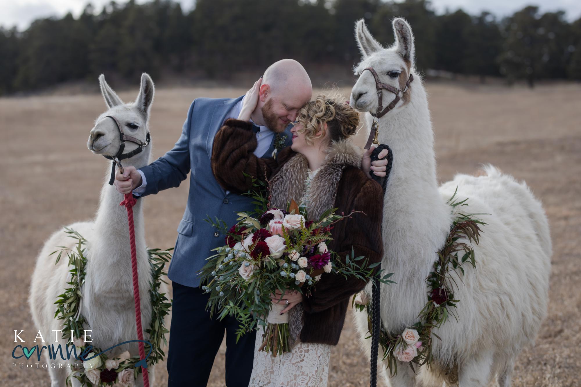 Couple in wedding dress and suit kiss in Colorado Springs
