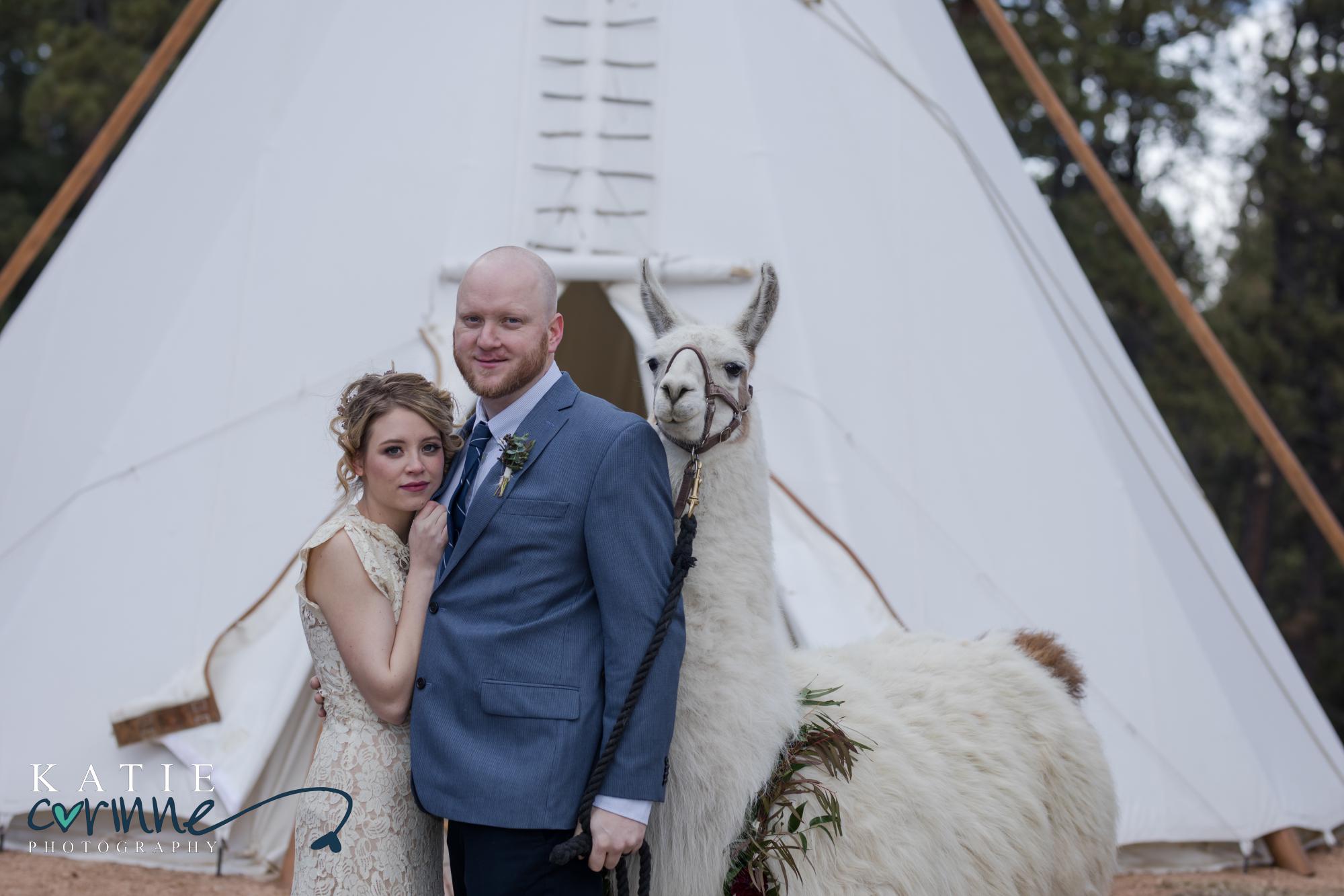 Colorado Couple with llama in front of teepee