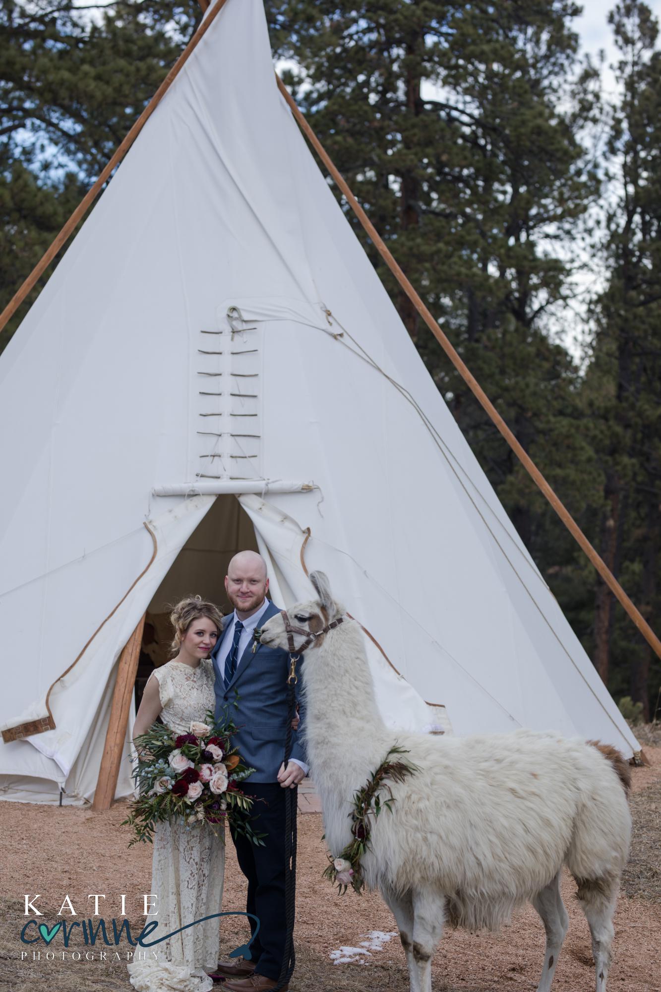 couple looks at llama in front of teepee in Colorado Springs