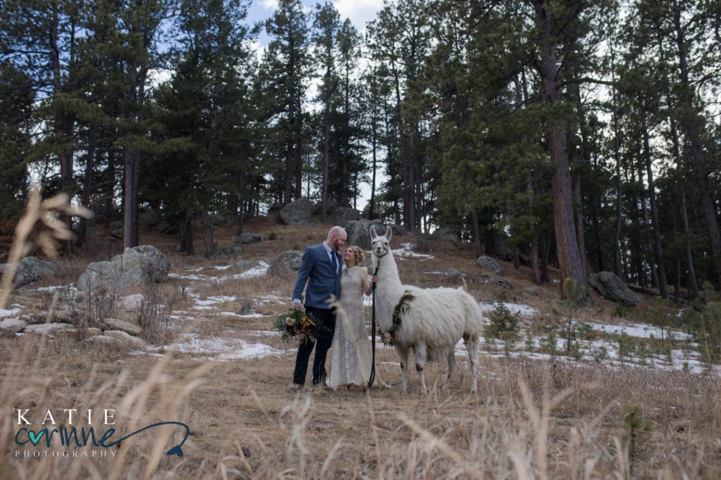llama wedding at younger ranch vendor list