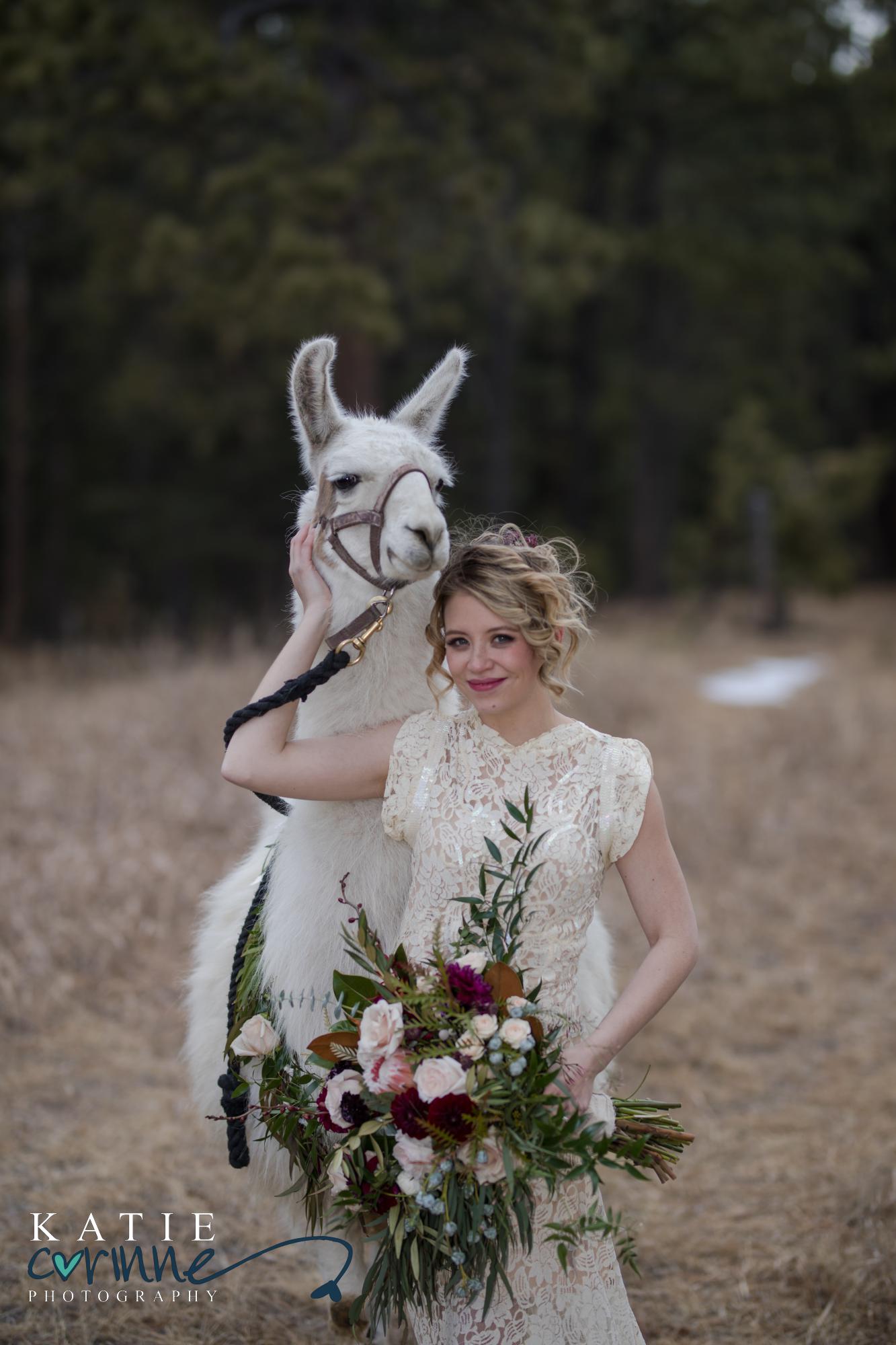 bride poses with llama and floral bouquet