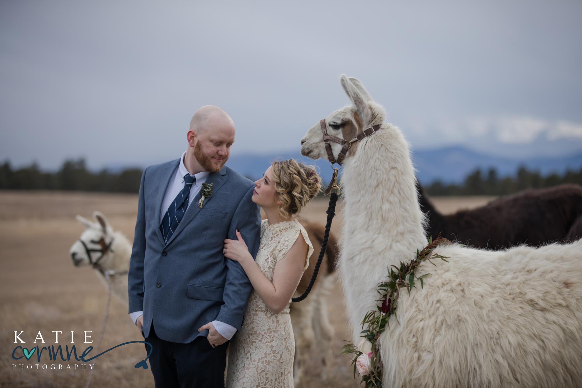 wedding couple in front of Colorado mountain range