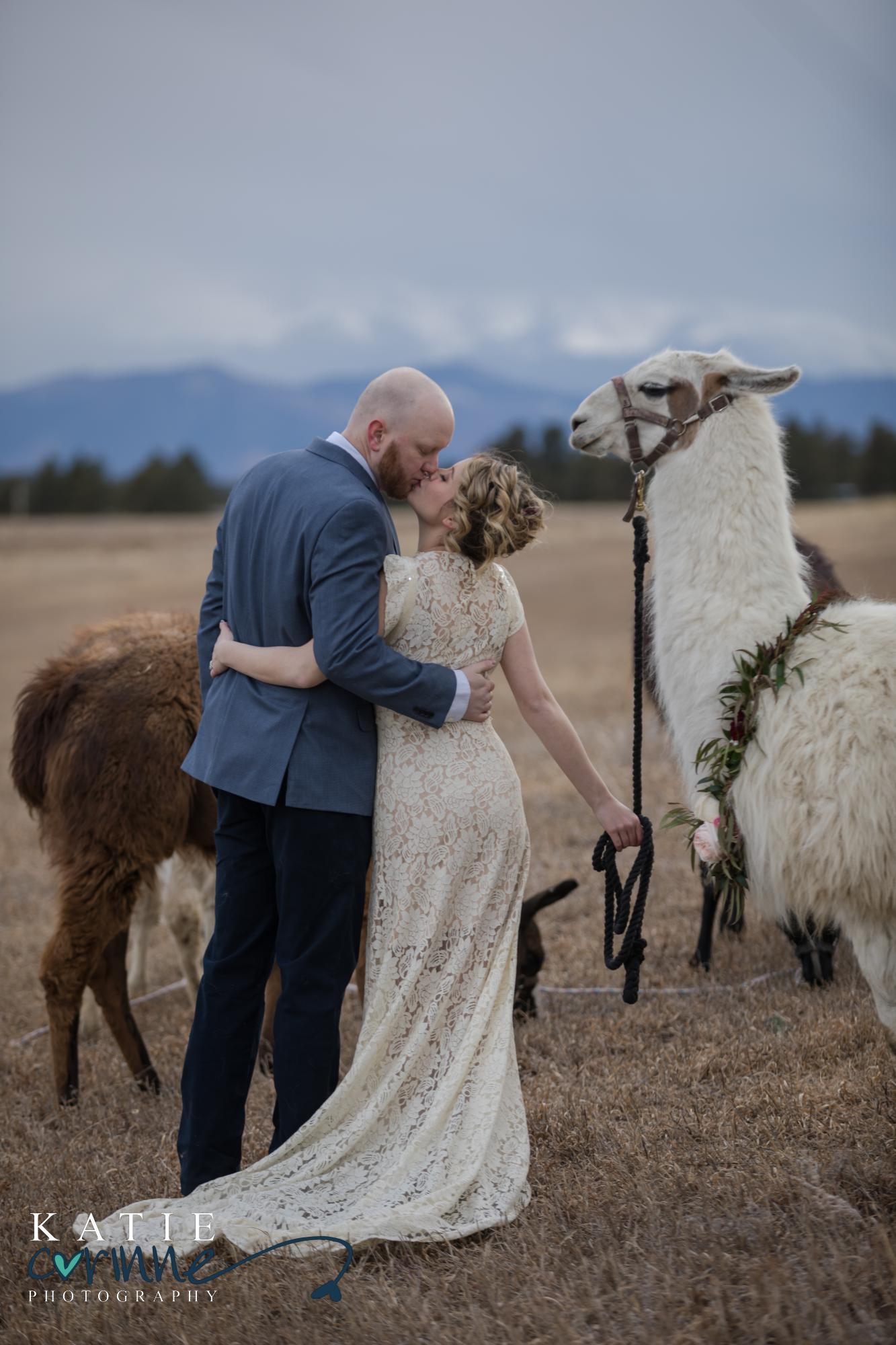 Colorado Springs couple kiss during llama wedding