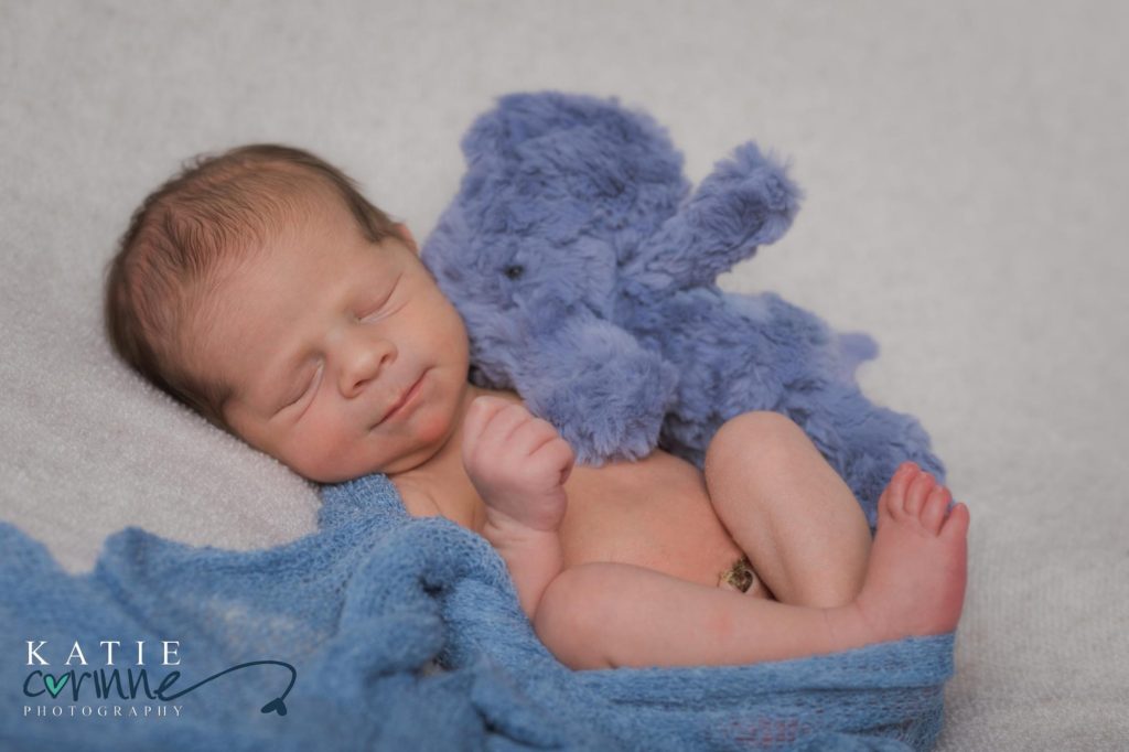 Colorado springs newborn with blue stuffed elephant
