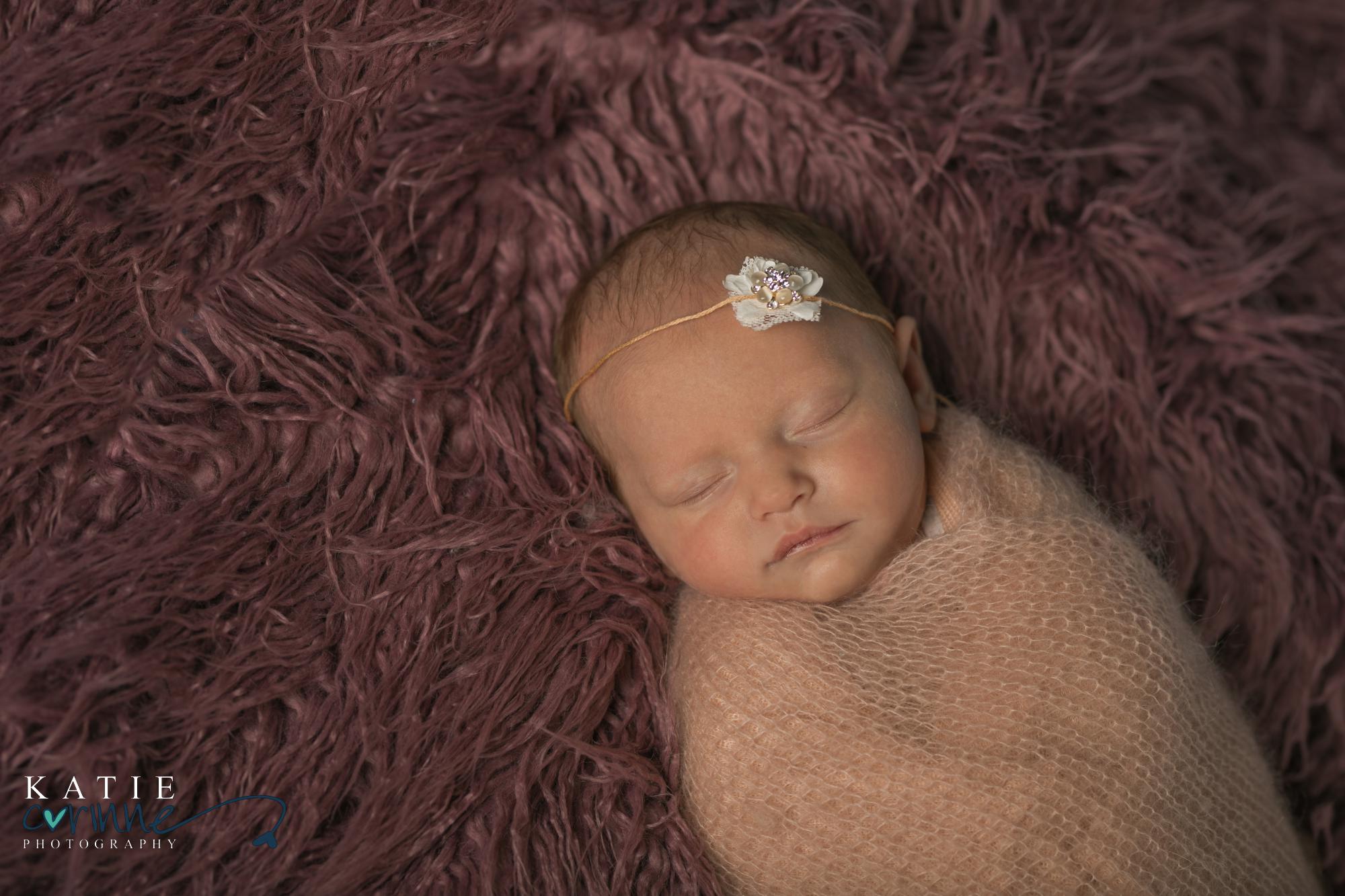 newborn in Colorado Springs photography studio