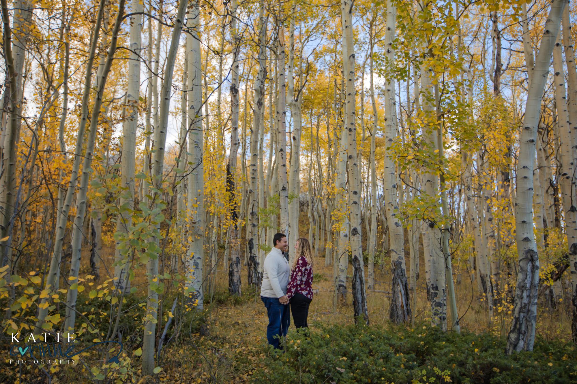 Colorado engaged couple among fall leaves