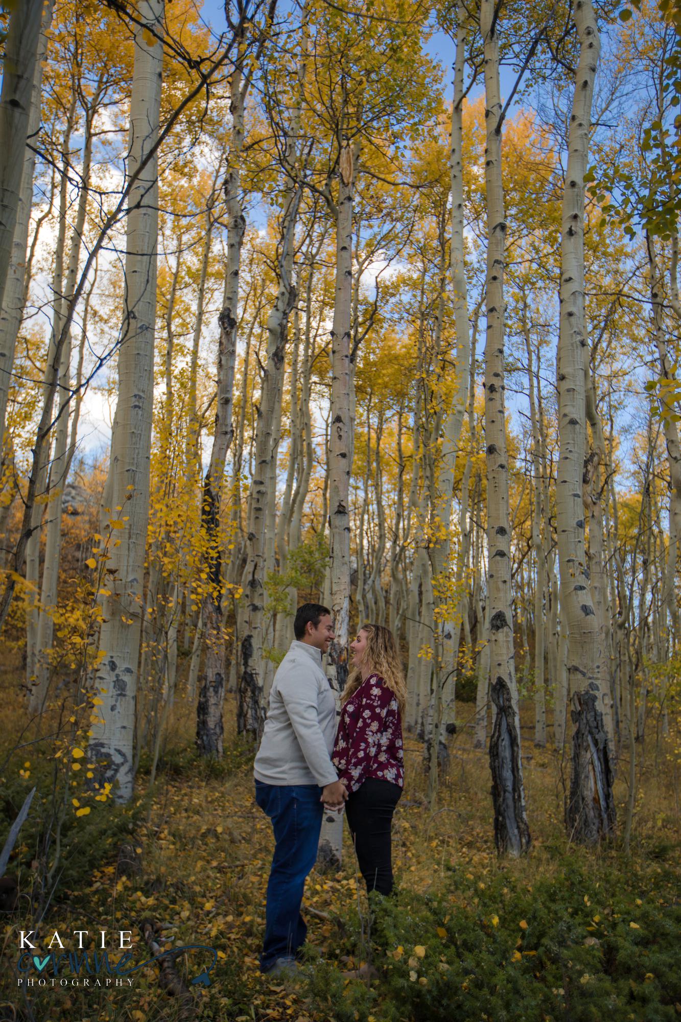 Colorado engaged couple among fall colors