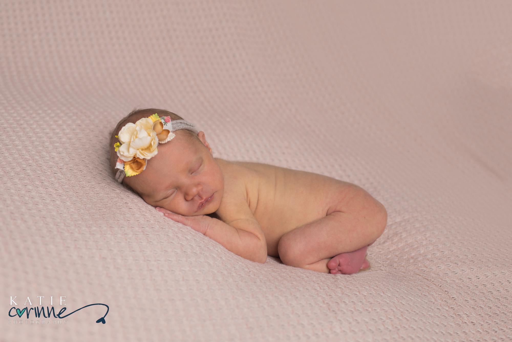 Colorado newborn baby girl posed by photographer