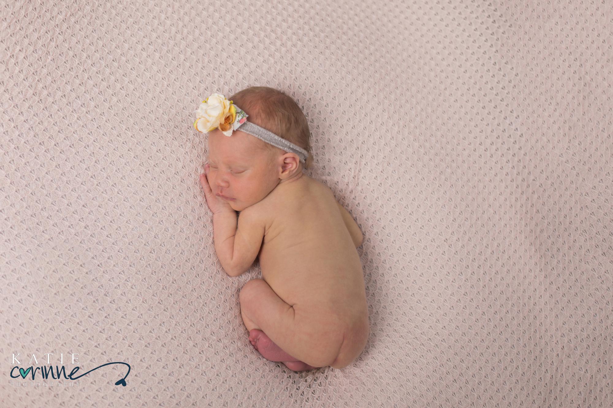 Colorado newborn baby girl posed by newborn photographer