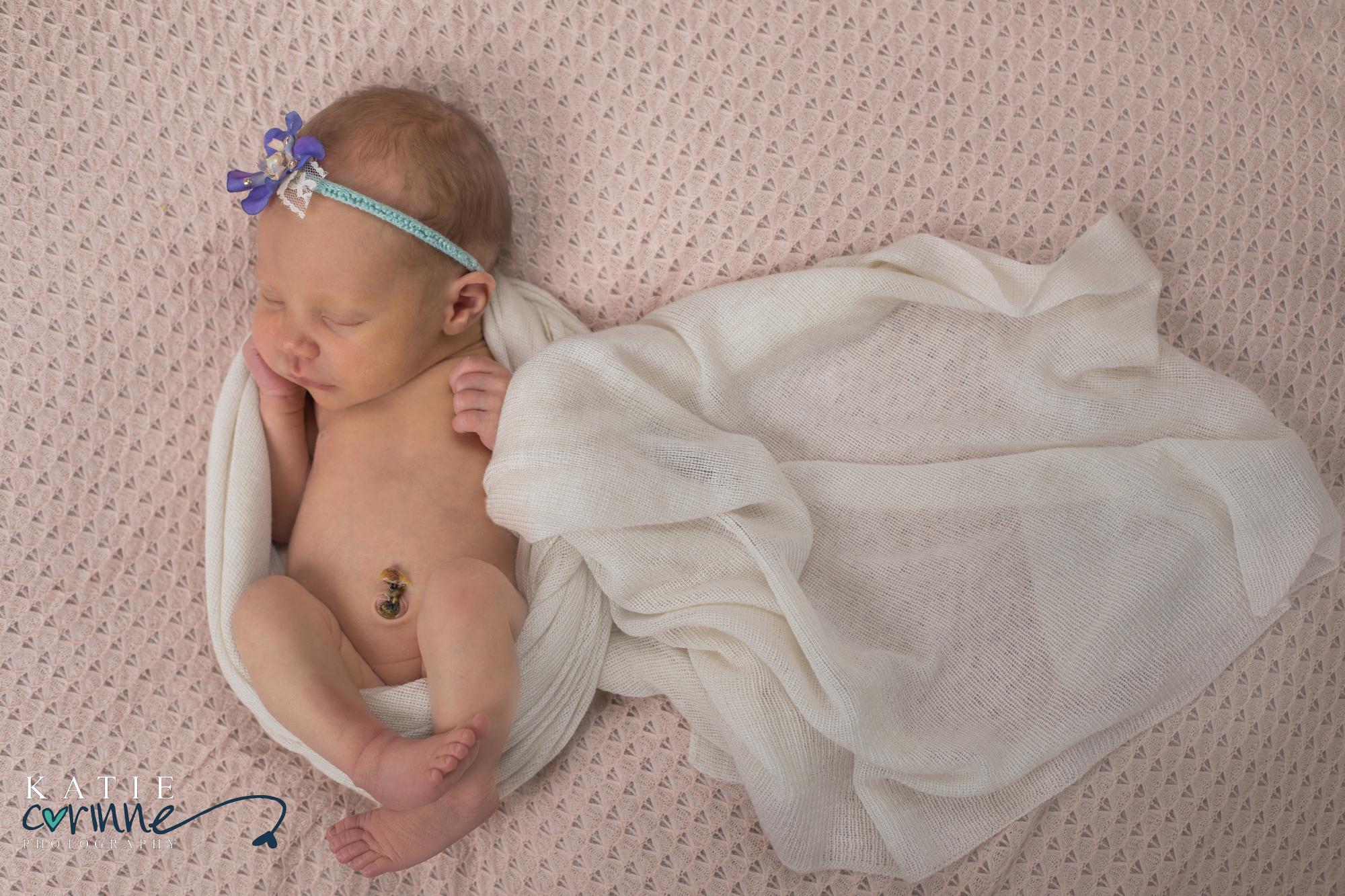 Colorado baby girl posed by newborn photographer