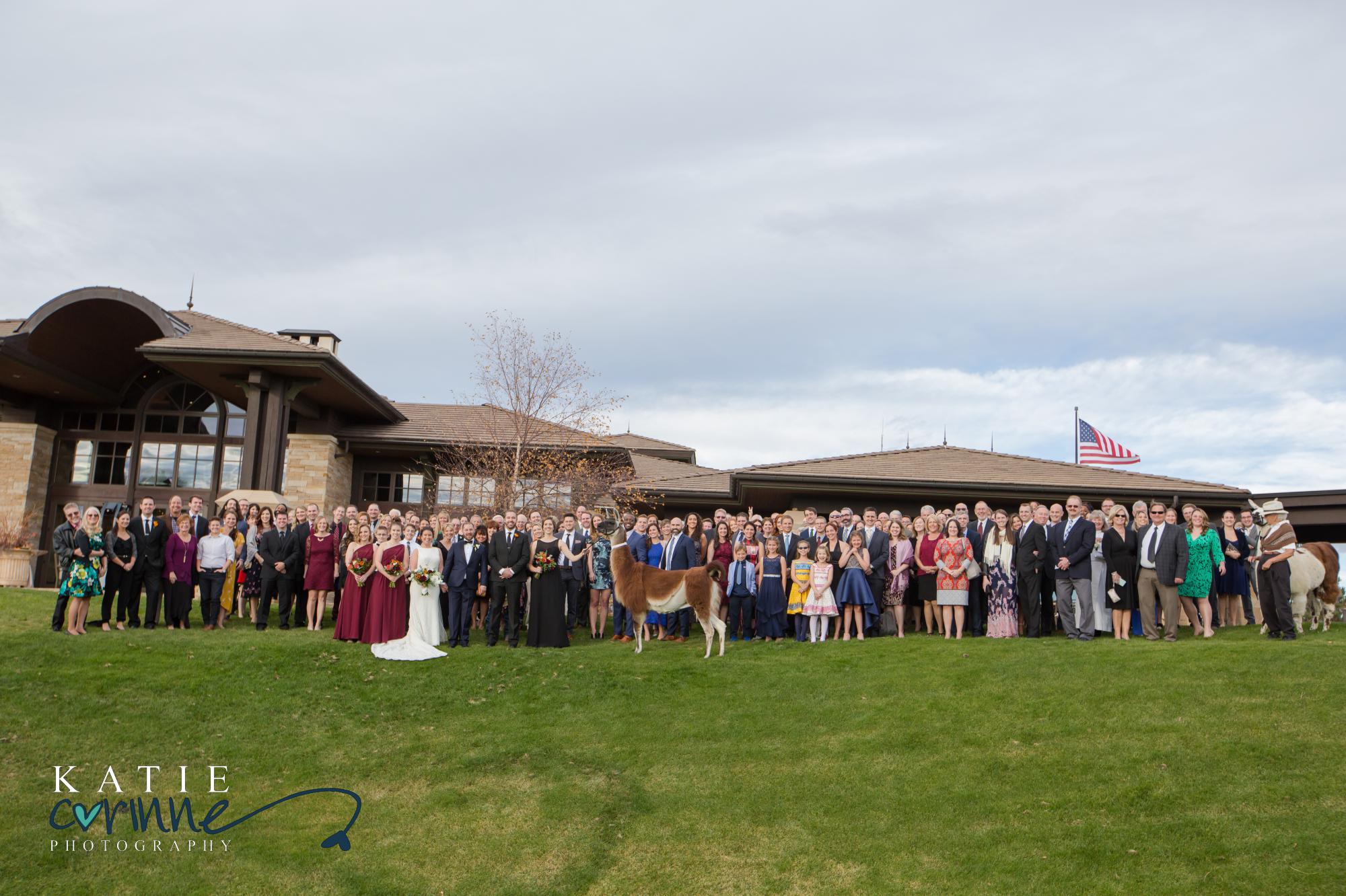 Colorado wedding with llamas