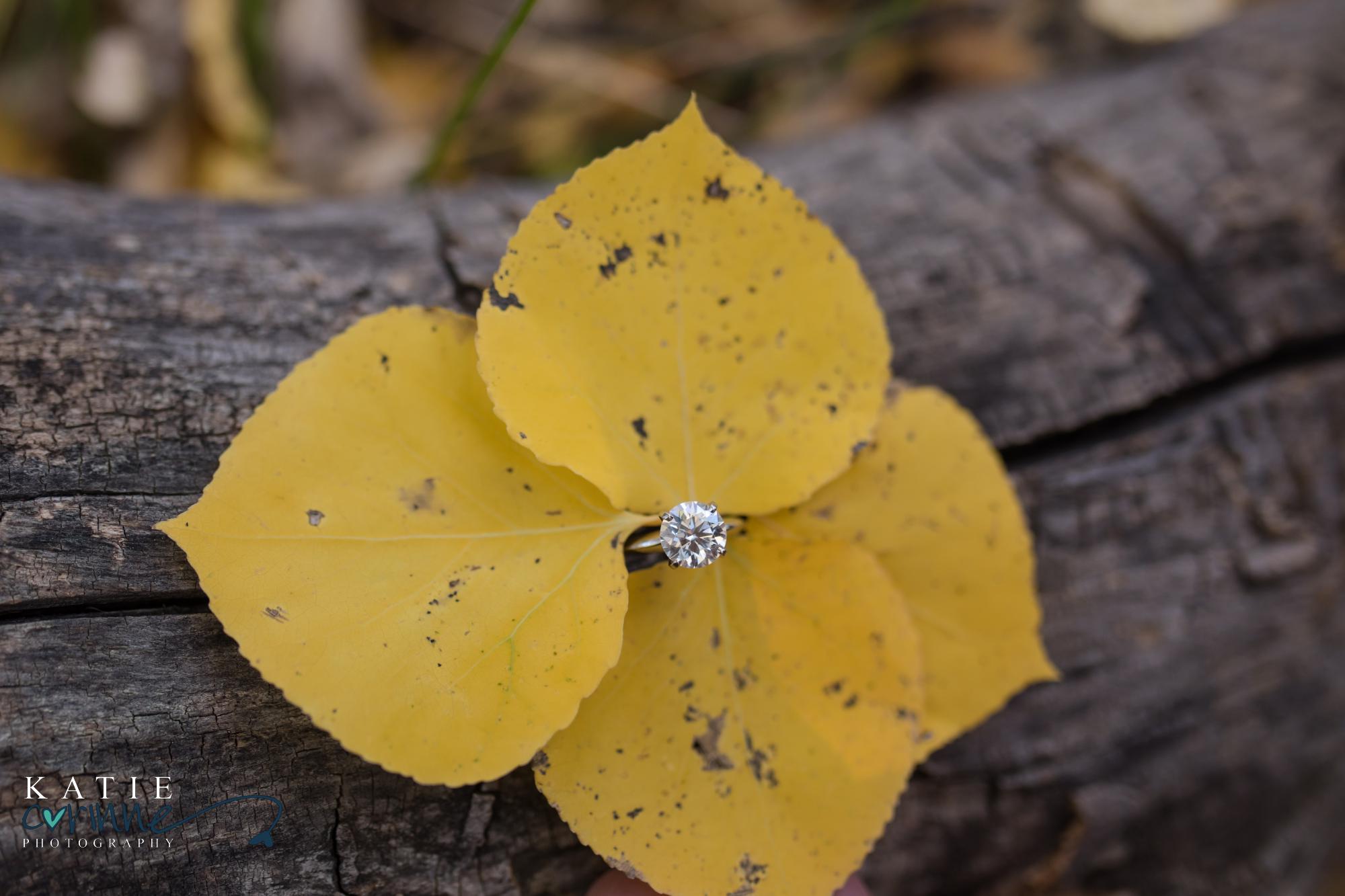 engagement ring on yellow aspen leaves