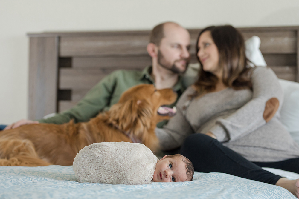 Parents with newborn baby and dog on a bed