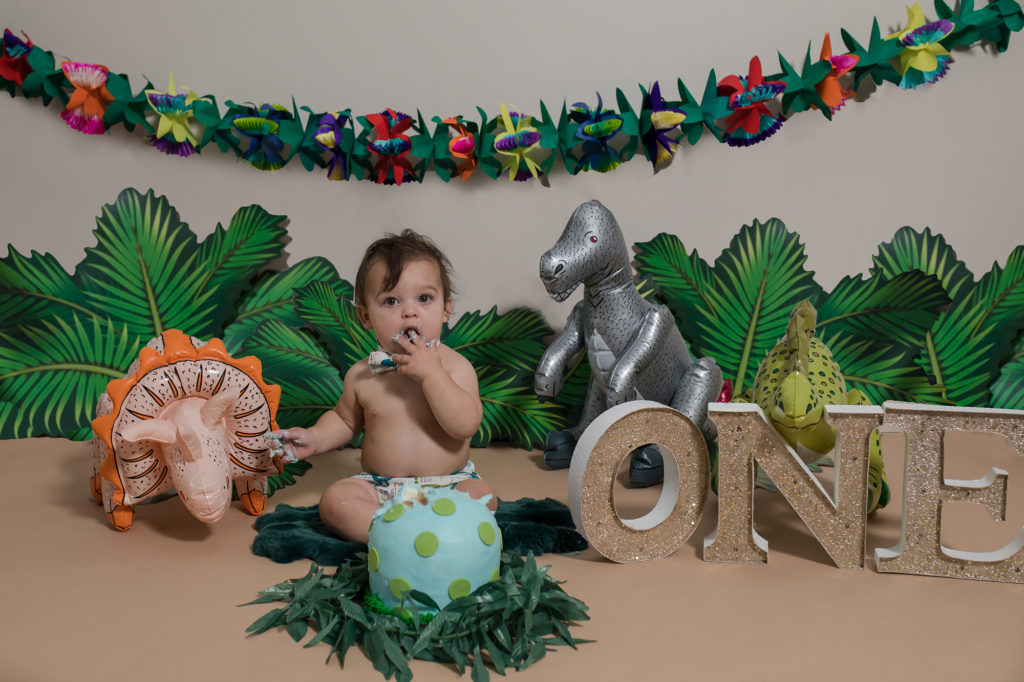 One year old little boy dinosaur cake smash