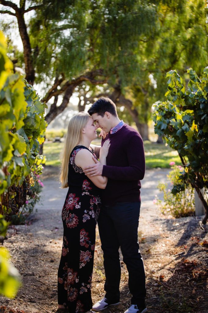 couple in vineyard engagement session