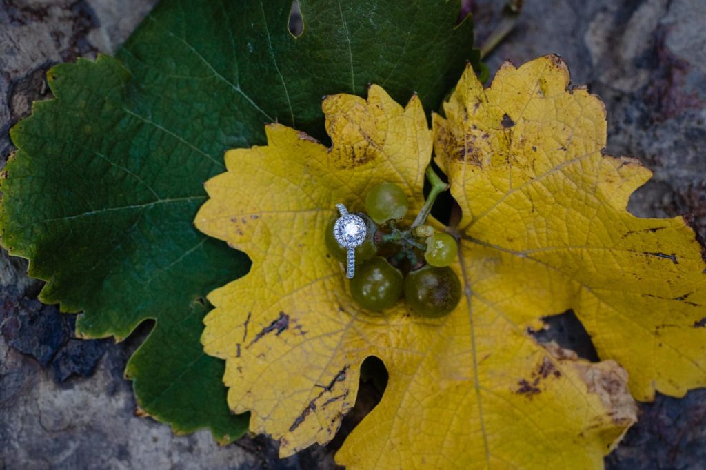 engagement ring on fall leaf