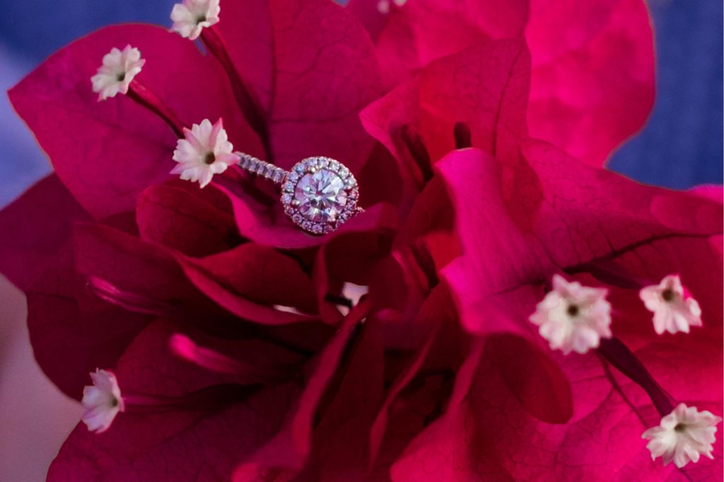 engagement ring in pink flower