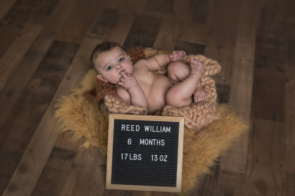 6 month old at Colorado photo session