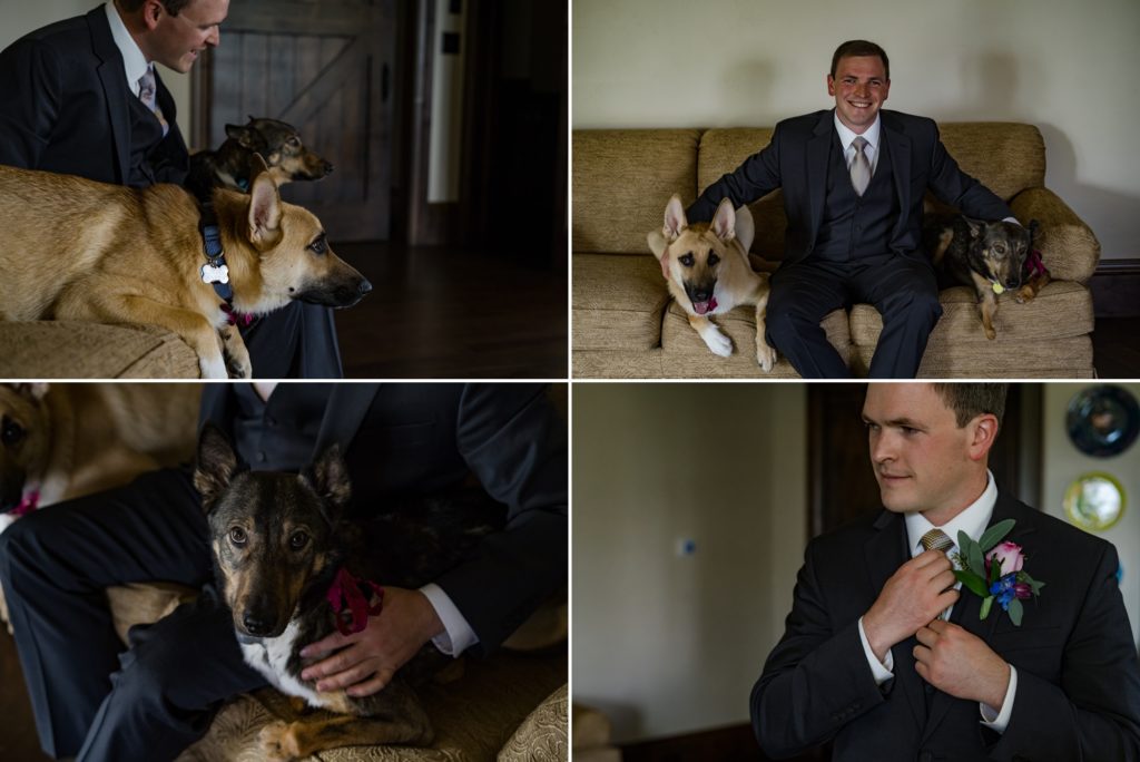 groom gets ready with dogs at intimate wedding