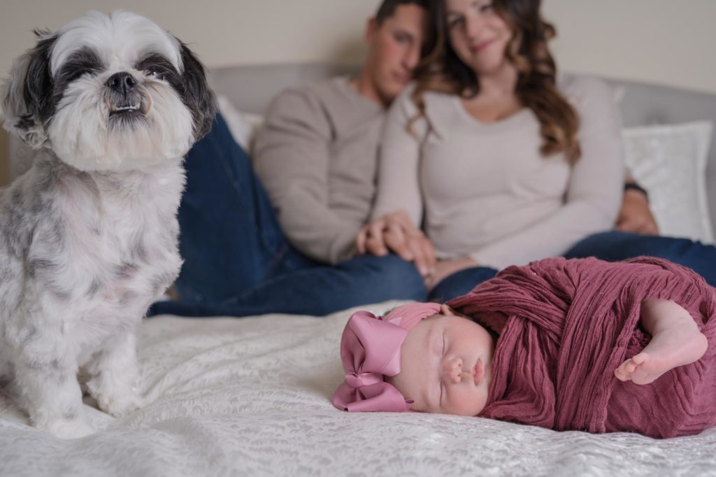 newborn and pup posed for portraits