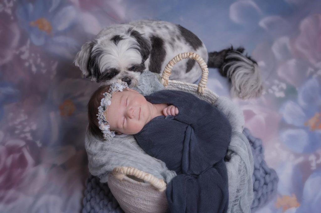 newborn girl and pup posed for portraits