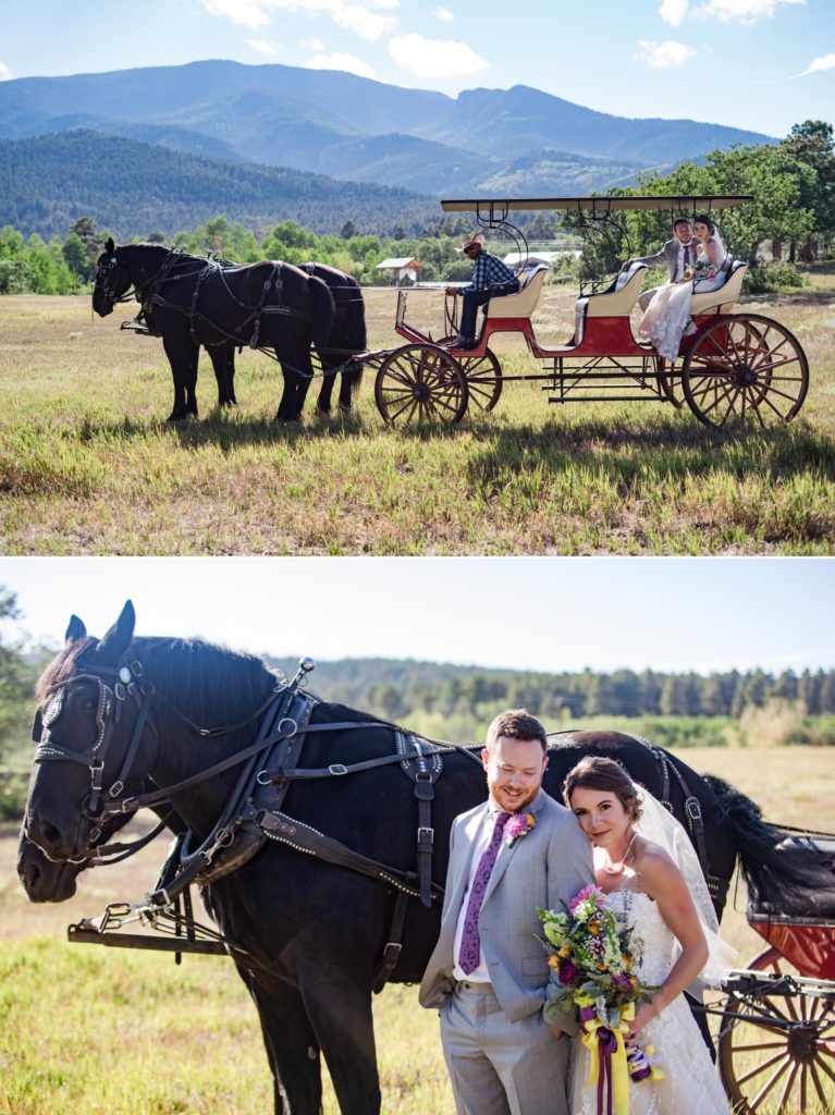 horse and carriage escort newlyweds at brush canyon ranch