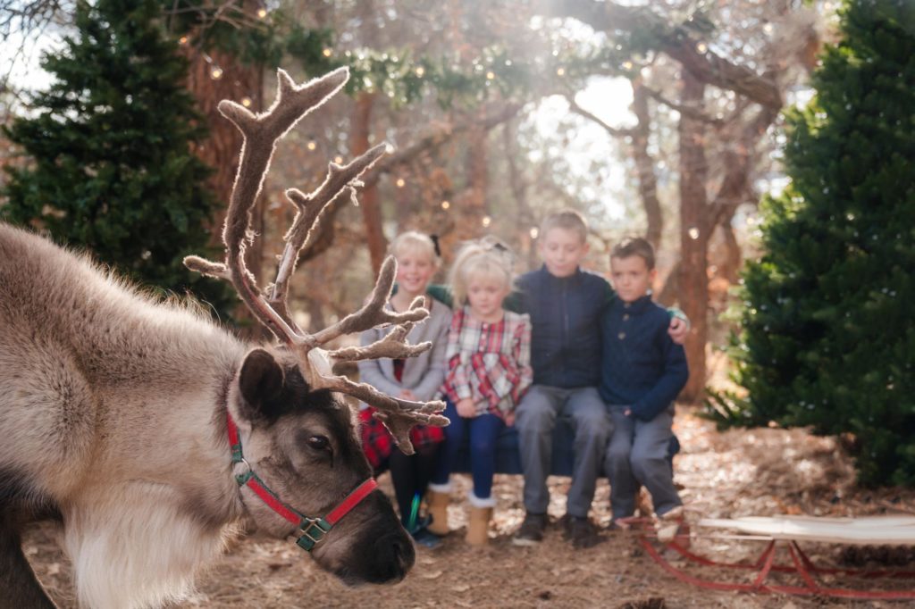 kids pose for reideer christmas photo session