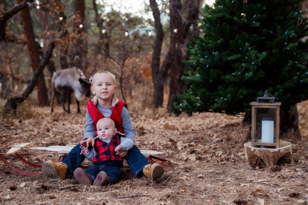 Colorado children pose for reideer christmas photo session
