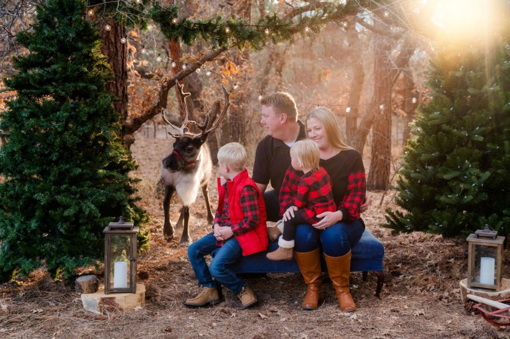 Colorado family poses for reideer christmas photo session