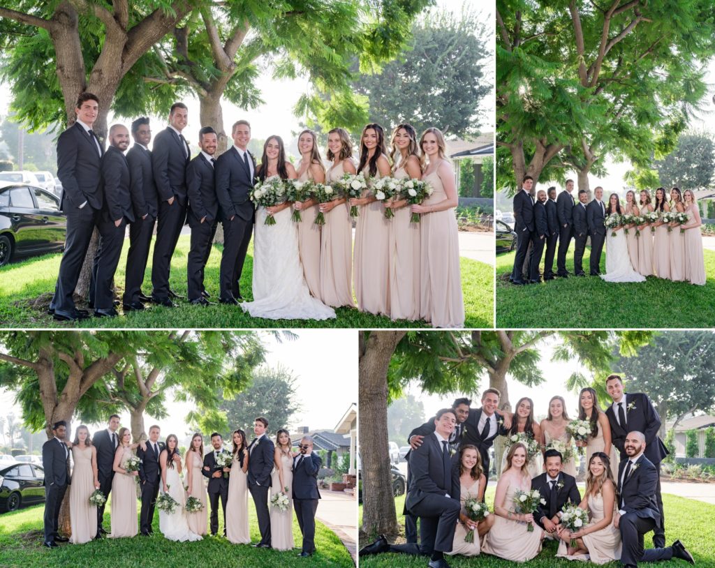 wedding party is photographed at outdoor wedding