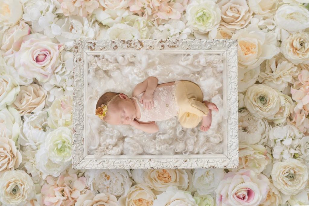 floral newborn baby girl backdrops