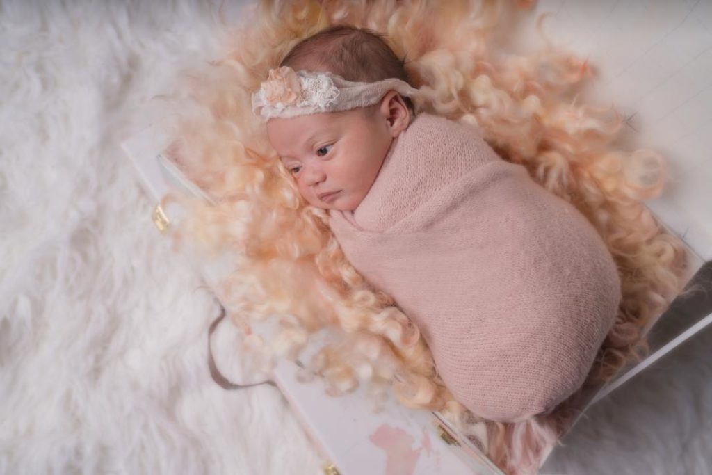 baby girl posed newborn portraits