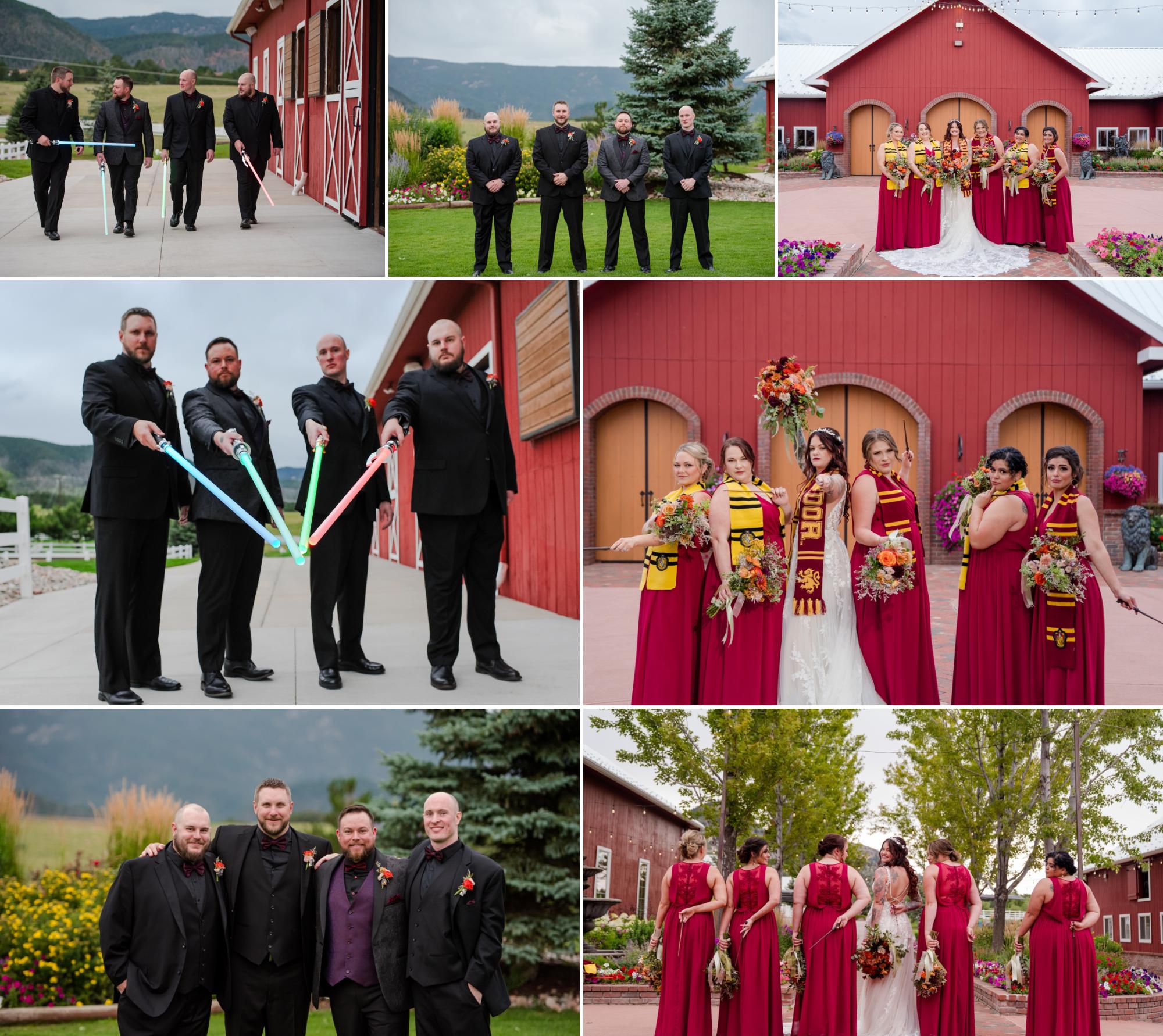 Star Wars Harry Potter wedding party