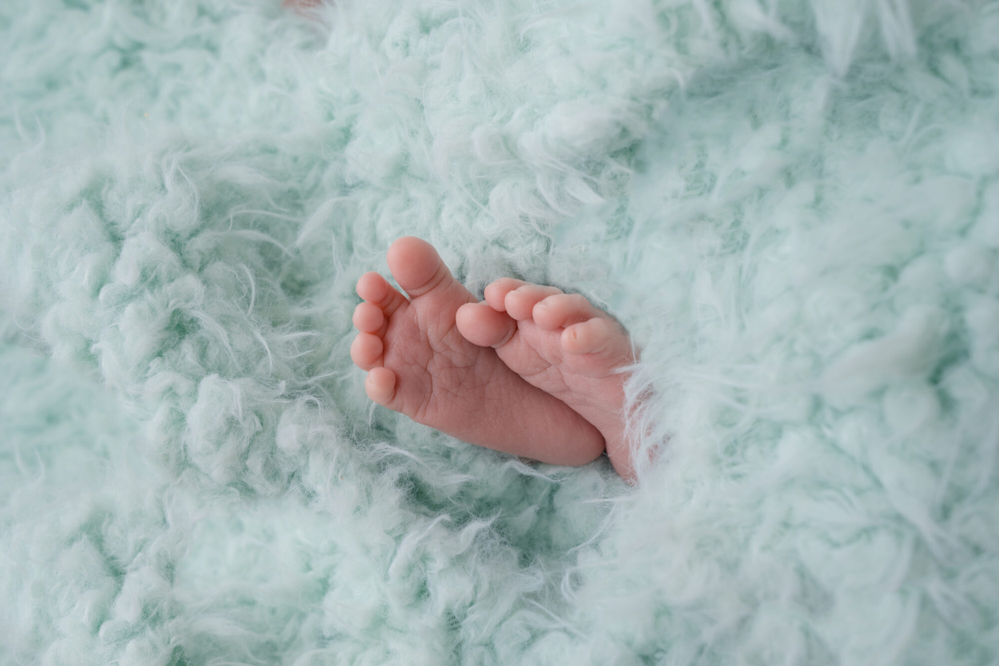 mint colored newborn photo